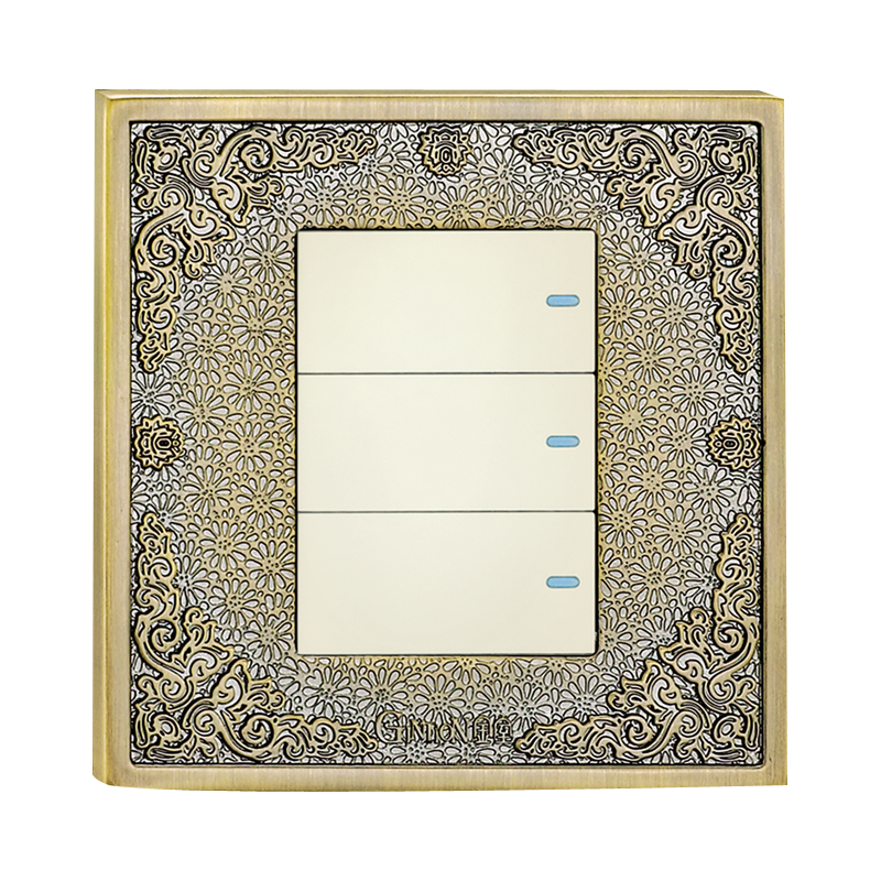 Switch Socket Panel